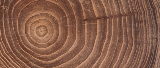Concentric brown wooden background with annual rings