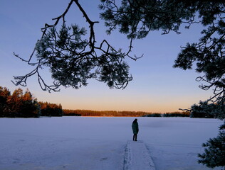 Fototapety na wymiar - Fototapeta24.pl