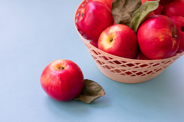 Naklejka na ściany i meble Raw mature red apples in basket on blue background. Garden autumn seasonal organic fruits
