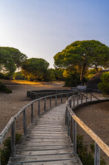 Fototapeta premium Donana National Park in Spain A UNESCO World Heritage Site