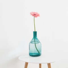 pink gerber oin glass vase on white background