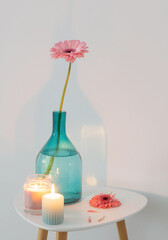 pink gerber oin glass vase on white background