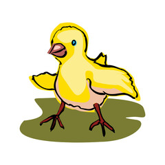 Cute baby chick shows a side isolated on a white background