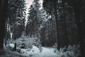 Fichtelsee, near Bayreuth in Germany