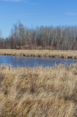 Elk Island National Park on a Cool Autumn Day