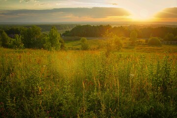 Obraz premium Sunrise over a hill with wild grasses