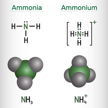 Ammonium cation, NH4 and ammonia, NH3 molecule. Structural chemical formula and molecule model.