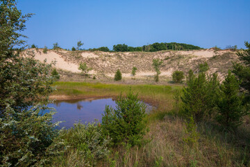 Fototapeta na wymiar West Beach Dune Succession Trail, Indiana Dunes National Park lake shore in Summer.