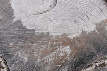rings on an old tree stump, abstract wooden background