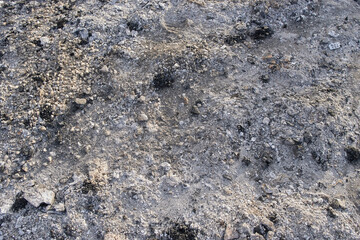 ash after burning coal and firewood , industrial waste, abstract background