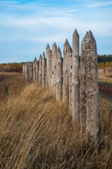 a stockade of logs in the field in autumn