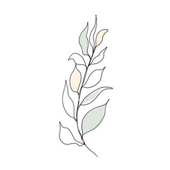 Minimalistic line drawing. leaf line art. Botanical drawing illustration by hand. beautiful idea for a postcard, a postcard. for home decor such as posters, wall art