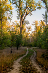 Country dirt road in autumn