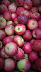 red apples 