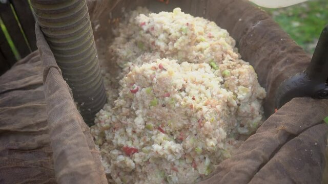 Close Up men's hands laying crushed fresh apples special bag in tray of wooden press squeezer for squeezing natural juice to produce cider in village. Raw vegan vegetarian healthy food concept 4k