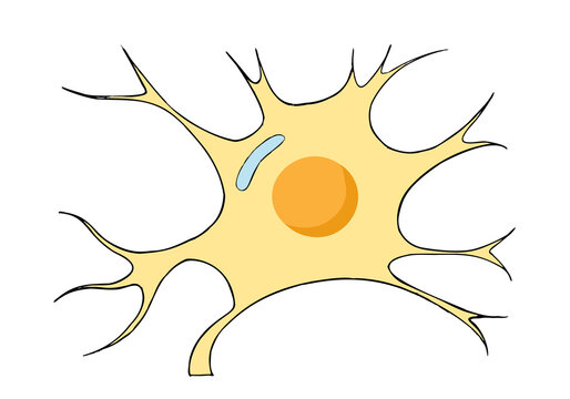 Neuron Cartoon Images – Browse 1,240 Stock Photos, Vectors, and Video |  Adobe Stock