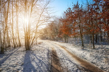 Beautiful winter landscape with country road against the sun.