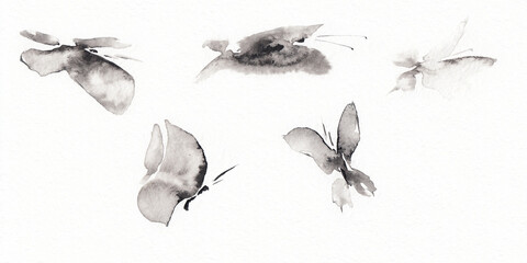 Set with five differents forms butterfly pictures.  Hand drawn china ink on paper textures