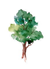 Watercolor illustration. Green summer tree hand-drawn. Landscape, nature, garden, architectural element isolated on white background; ecologicaly clean.