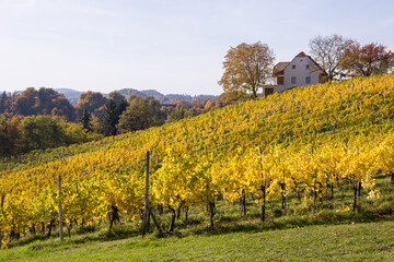 Fototapeta na wymiar Impression from the vinery region Südsteiermark in Austria