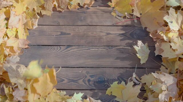 Rustic fall background autumn leaves over rustic background of barn wood. Image shot from overhead. Free space for text. Mock up. Wooden table top with round borders yellow autumn leaf