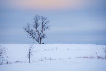 A winter countryside landscape in the province of Quebec, Canada