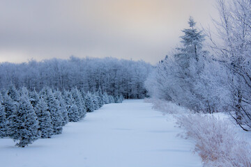 A winter countryside landscape in the province of Quebec, Canada