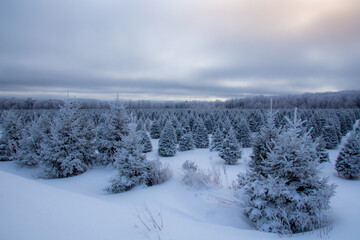 A winter countryside landscape in the province of Quebec, Canada