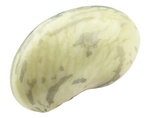 bean, isolated on white background, clipping path, full depth of field