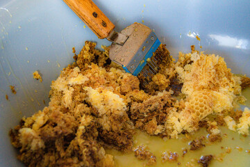 honeycomb from bee hive filled with golden honey