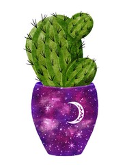 Celestial cactus clip art illustration in flowerpot with stars and cosmos pattern. Bright watercolor succulent isolated on white. Handdrawn prickly green house plant for mystic astrology design.