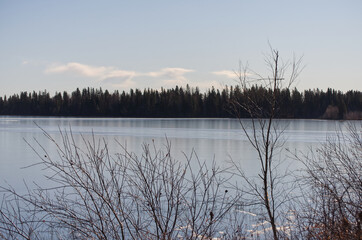 Fototapeta premium Astotin Lake Frozen over in Late November