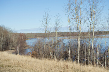 Elk Island on a Late Autumn Day