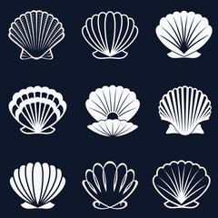 collection of various seashells isolated on dark background