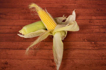 maize