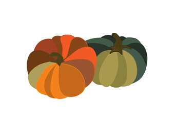 Two bright ripe pumpkins. Fresh harvest from the farm. Vector colorful illustration isolated on a white background. A pair of autumn pumpkins for Halloween.