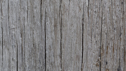 Fototapeta na wymiar background, texture, pattern of wood grain