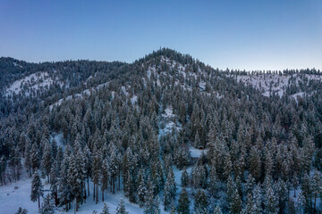 snow covered mountains