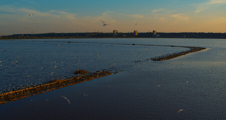 Obraz premium Evening on calm beach. Drone estuary view with peaceful beach in background.