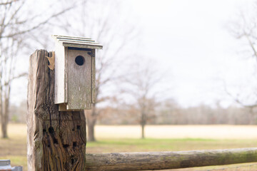 Birdhouse Mounted on a Post in the Autumn 