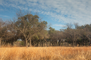 Brownwood Texas lake, walking trail, sunny day mourning, beautiful relaxing panorama  view, recreation area.