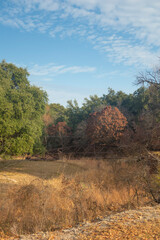 Obraz premium Brownwood Texas lake, walking trail, sunny day mourning, beautiful relaxing panorama view, recreation area.