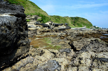 岩礁海岸  潮が引いた磯　海辺の環境