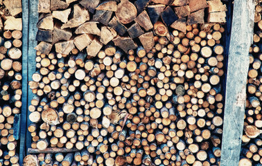 Closeup of logs of trees in nature. a lot of cutted logs.