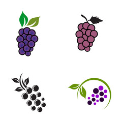 Grape fruit icon set logo design