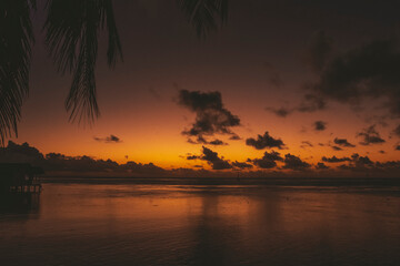 Fototapeta na wymiar French Polynesia Island in South Pacific Ocean Mo'orea, Tahiti, Fakarava
