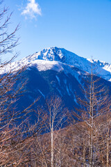 南アルプス　北岳　杖立峠付近からのぞむ