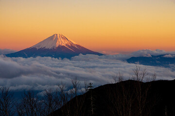 夕焼けに染まる富士山と雲海