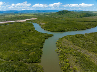 Tidal Creek Running Through Coastal Vegetation