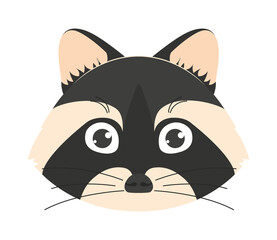 cute racoon face